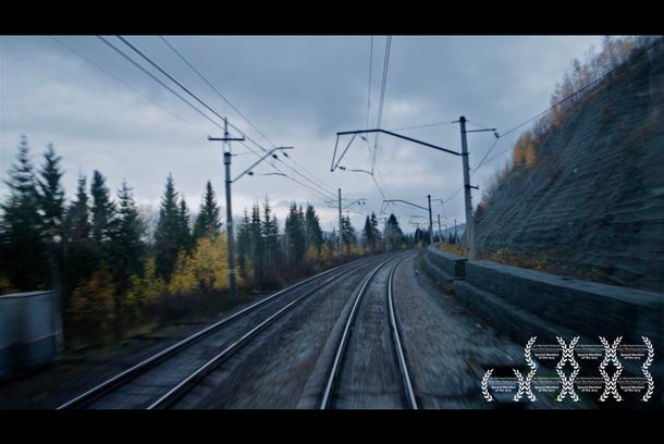 still / picture for VOSTOK N20