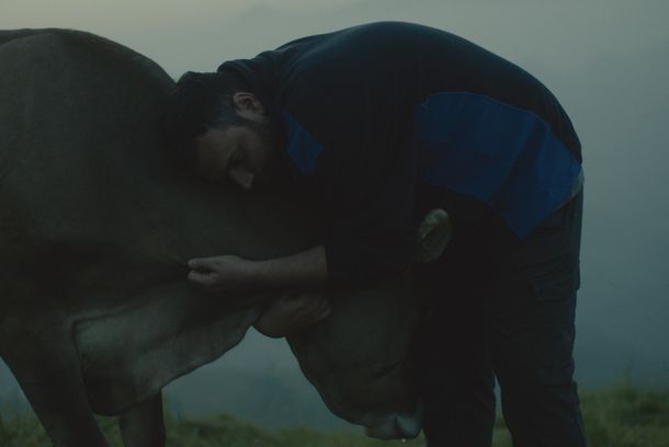 still / picture for Lessons of Love