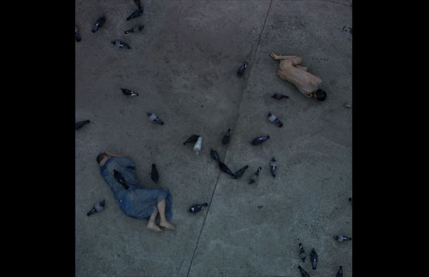 still / picture for The Mysteries of Nature