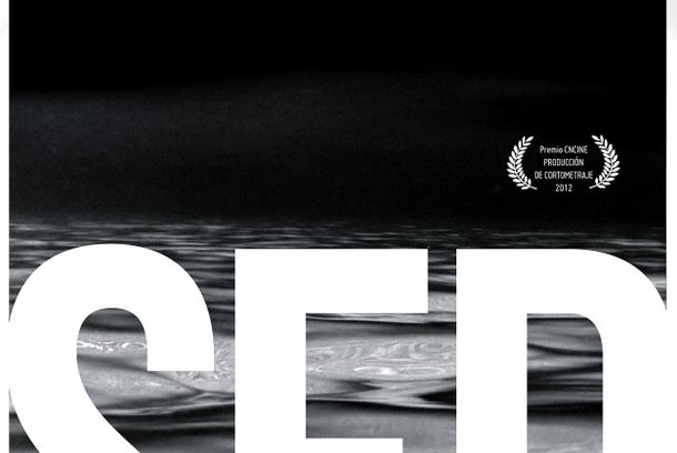 still / picture for SED