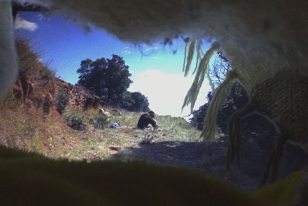 still / picture for Mudanza Contemporánea