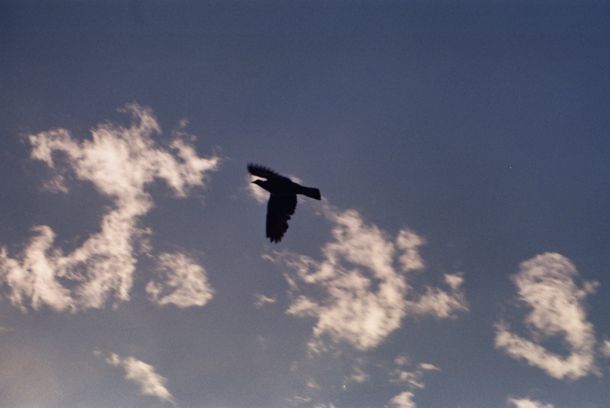 still / picture for Unsichtbar