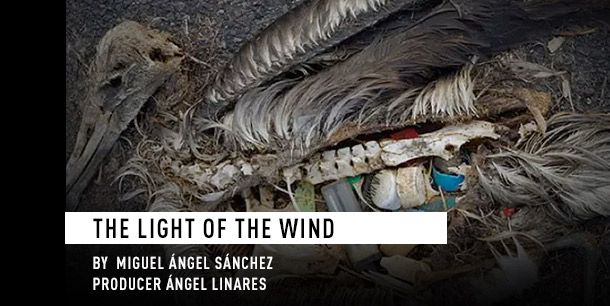 still / picture for La Luz del Viento