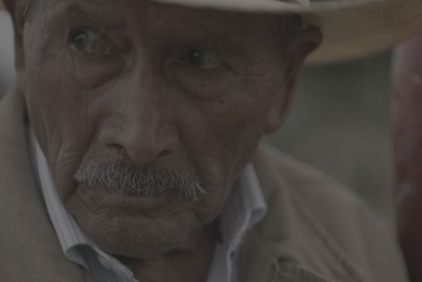 still / picture for Meyolotl