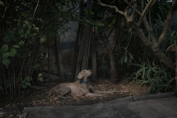 still / picture for Las piedras de Otto