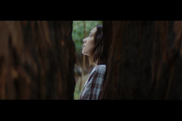 still / picture for Into The Thicket