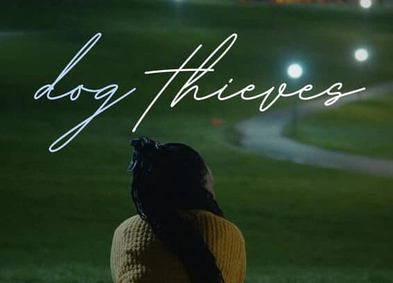 still / picture for Dog Thieves