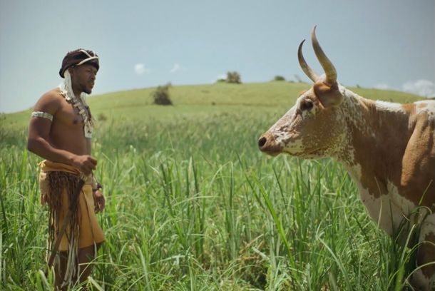 still / picture for Where the cattle wait