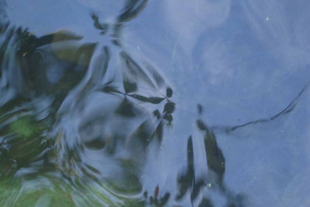 still / picture for REFLEXIONES