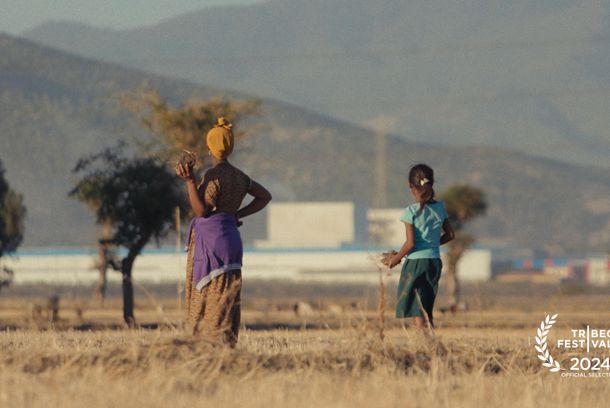 still / picture for Made in Ethiopia