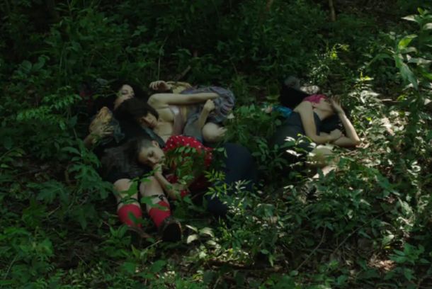 still / picture for Caigan las rosas blancas