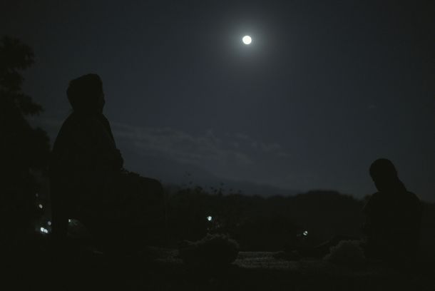 still / picture for FLORES DE LA LLANURA
