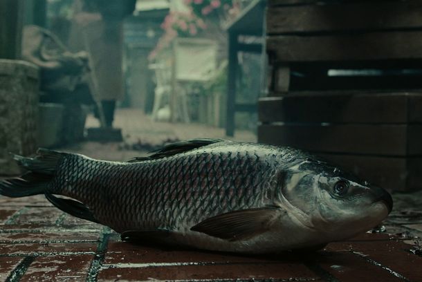 still / picture for The Riddle