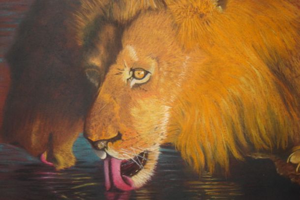 still / picture for Wildlife Paintings
