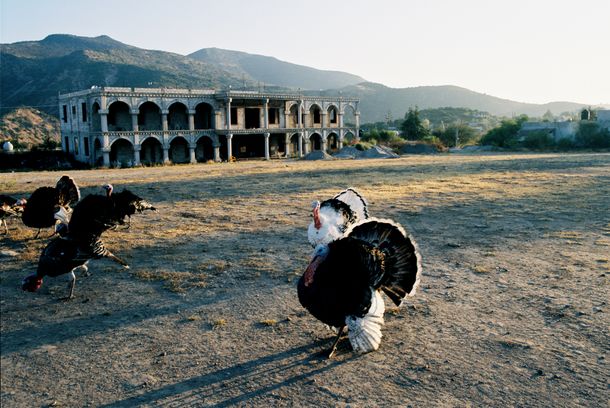 still / picture for El Alberto –The walk of a village