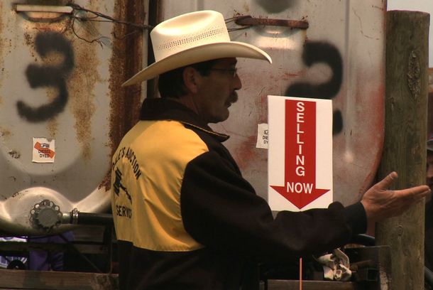 still / picture for The Auctioneer