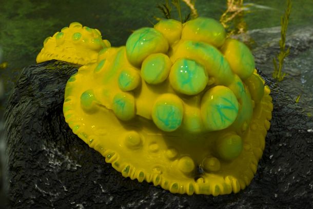 still / picture for The Journey