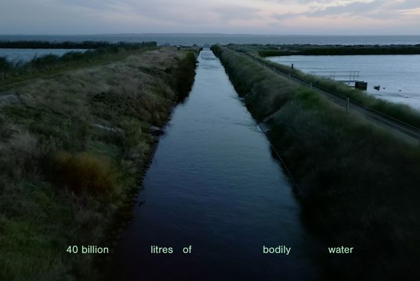 still / picture for Metabolism