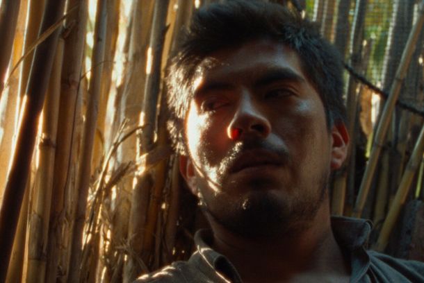 still / picture for Agua
