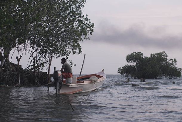 still / picture for Anfibio