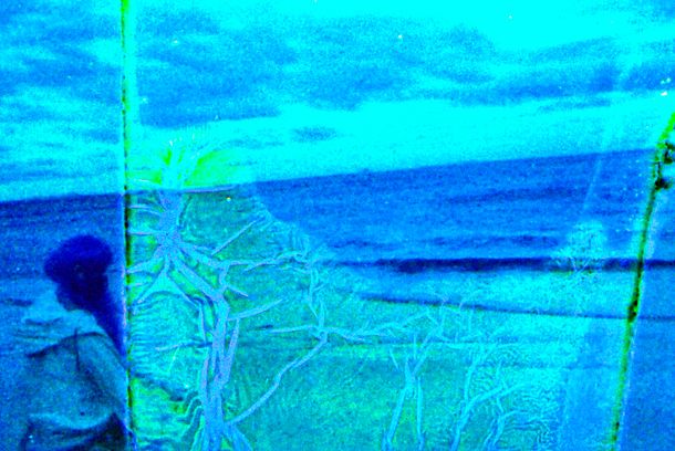 still / picture for Green Thoughts
