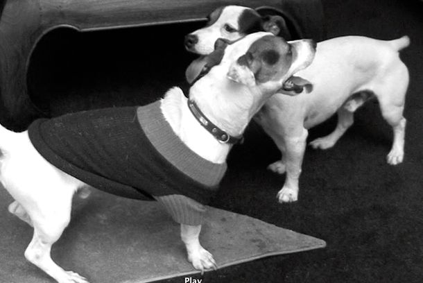 still / picture for Me gustas desde la secundaria