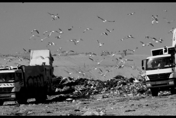 still / picture for Die Young