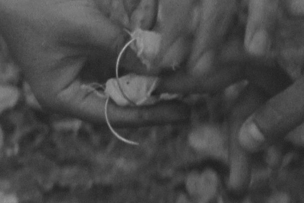still / picture for Endless, Nameless