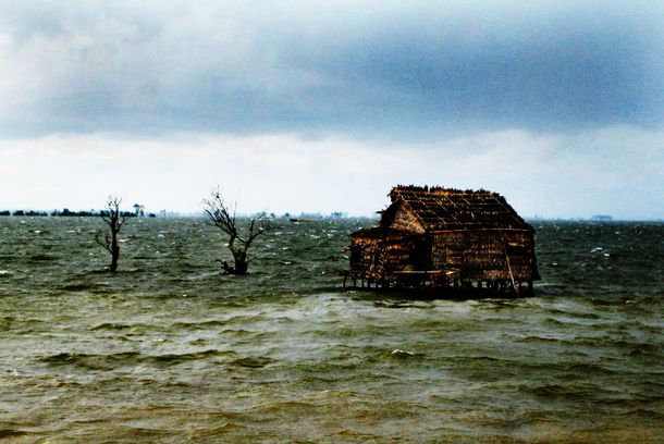 still / picture for Buffalo Boy