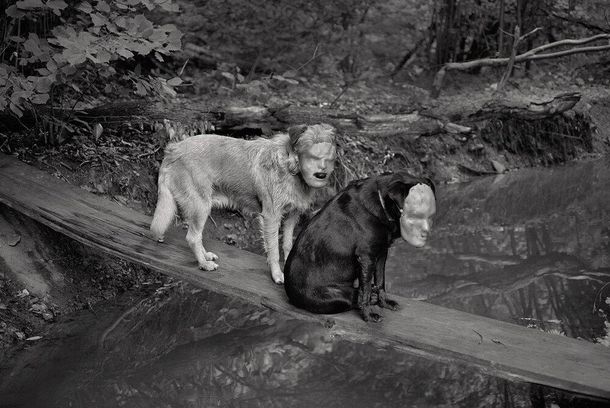 still / picture for Bittereinder