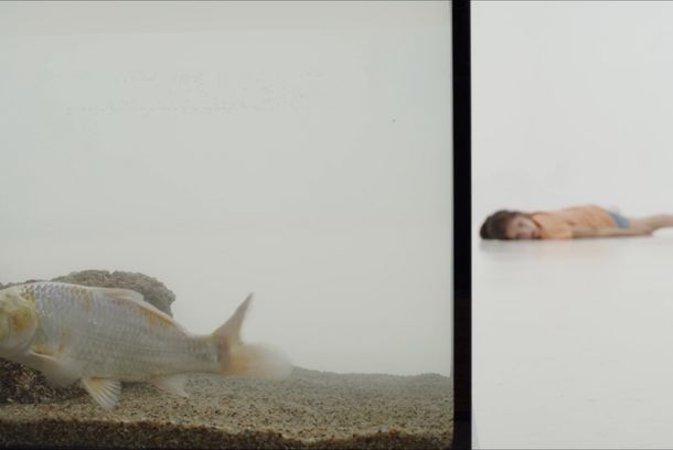 still / picture for Fata pescarului 