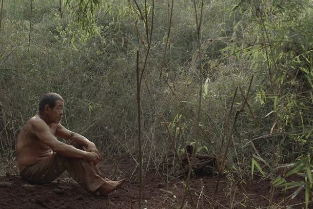 still / picture for Damiana Kryygi