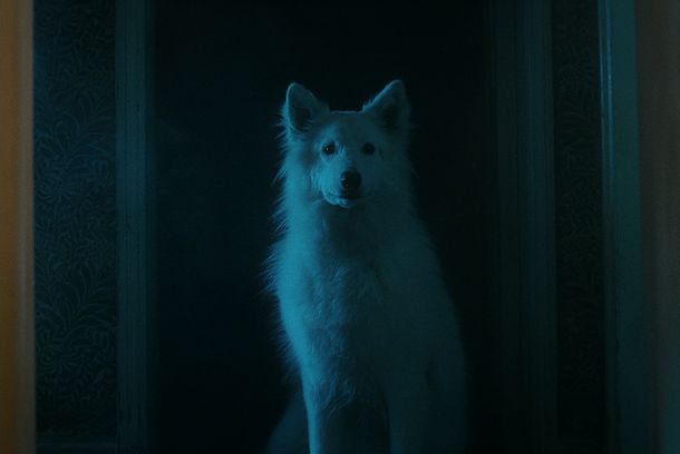 still / picture for Thursday Night
