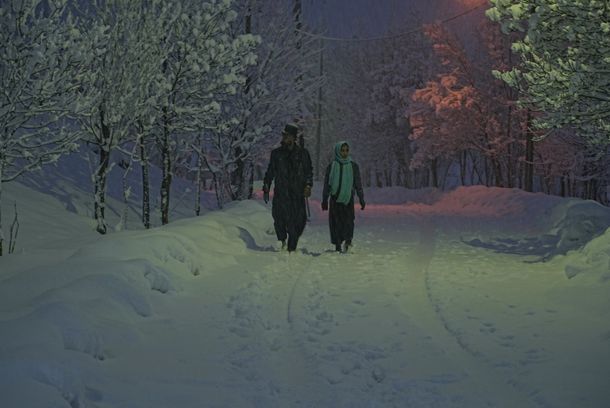 still / picture for The Dreams of the Wild Oaks