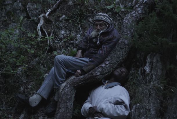 still / picture for Overnight Flies