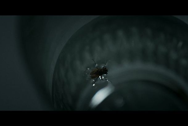 still / picture for Postergados (Postponed)