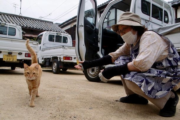 still / picture for GOKOGU NO NEKO
