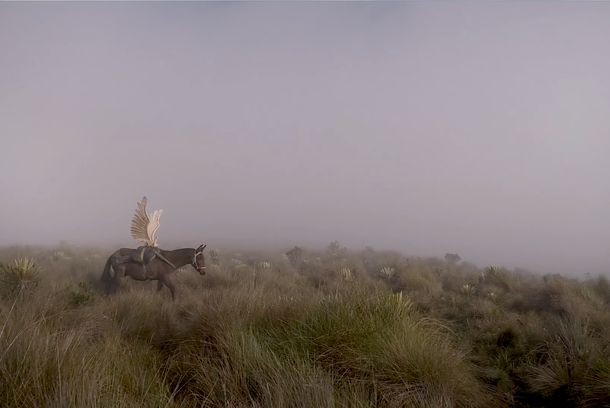 still / picture for Volando Bajo