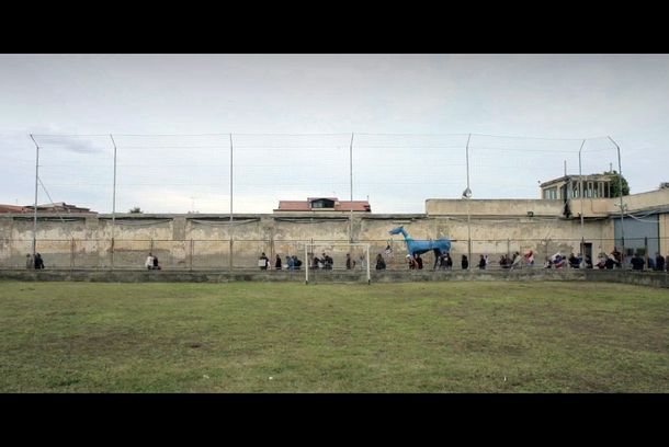 still / picture for IL VIAGGIO DI MARCO CAVALLO