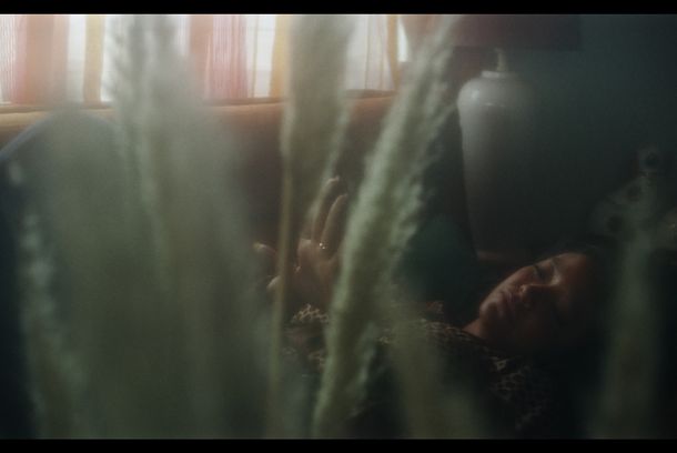 still / picture for PAMPAS