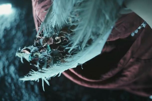 still / picture for the white wings