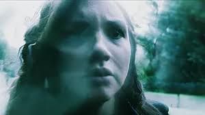 still / picture for Fissure