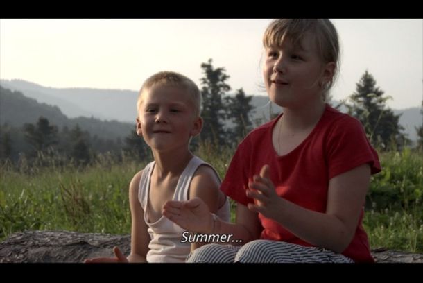 still / picture for Summer with Mosquitoes