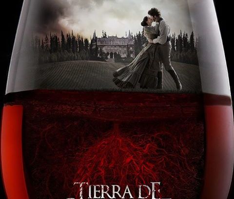 still / picture for THE WINEYARD