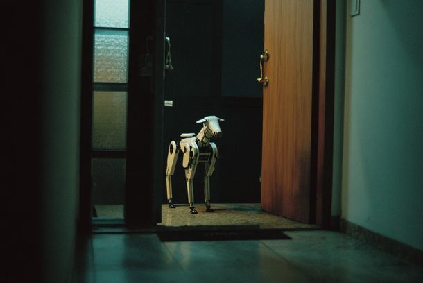 still / picture for A Última Cachorra