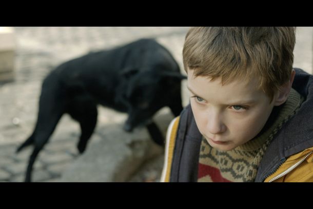 still / picture for Zinneke
