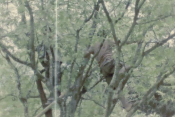 still / picture for Endless, Nameless