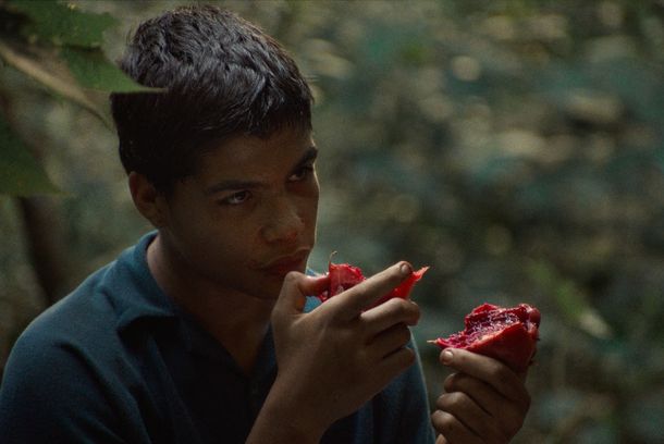 still / picture for La Jauria 