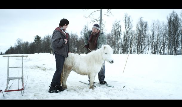 still / picture for Levi's horse