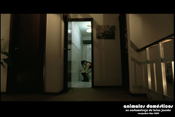 still / picture for Animales Domésticos / Domestic Animals